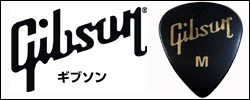 ピック ギブソン