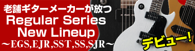 レギュラーシリーズ ニューモデル
