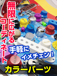 手軽にイメチェン カラーパーツ