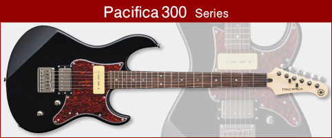 Pacifica300パシフィカ