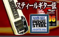 スティールギター弦