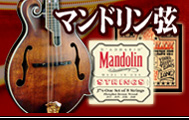 マンドリン弦