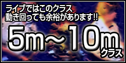 シールド　5ｍ～10ｍクラス　ライブではこのクラス！動き回っても余裕があります！