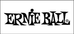 ernie ball アーニーボール　エレキギター弦