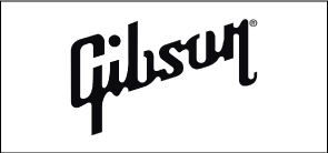 gibson ギブソン　アコギ弦