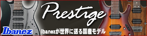 プレステージモデル　アイバニーズが世界に送る国産モデル